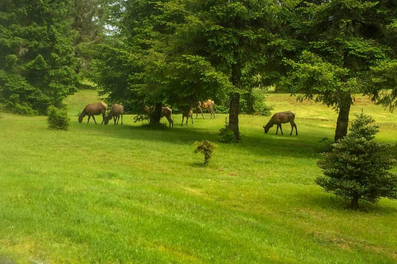 Serene South Bend Family Escape Dogs Welcome Βίλα Tokeland Εξωτερικό φωτογραφία